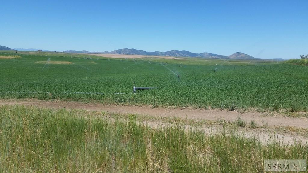 Tbd Bailey Creek Road Property Photo 43