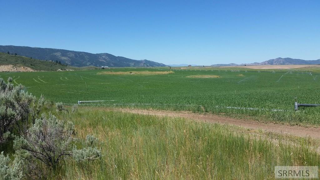 Tbd Bailey Creek Road Property Photo 44