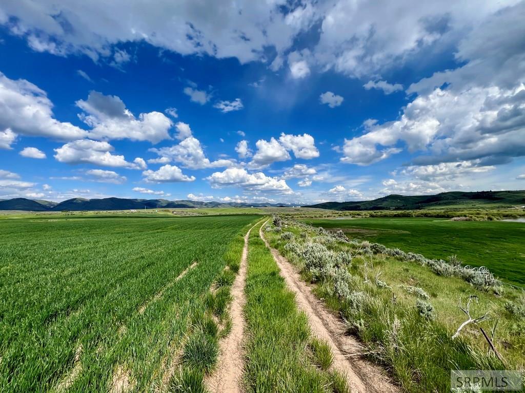 Tbd Bailey Creek Road Property Photo 45