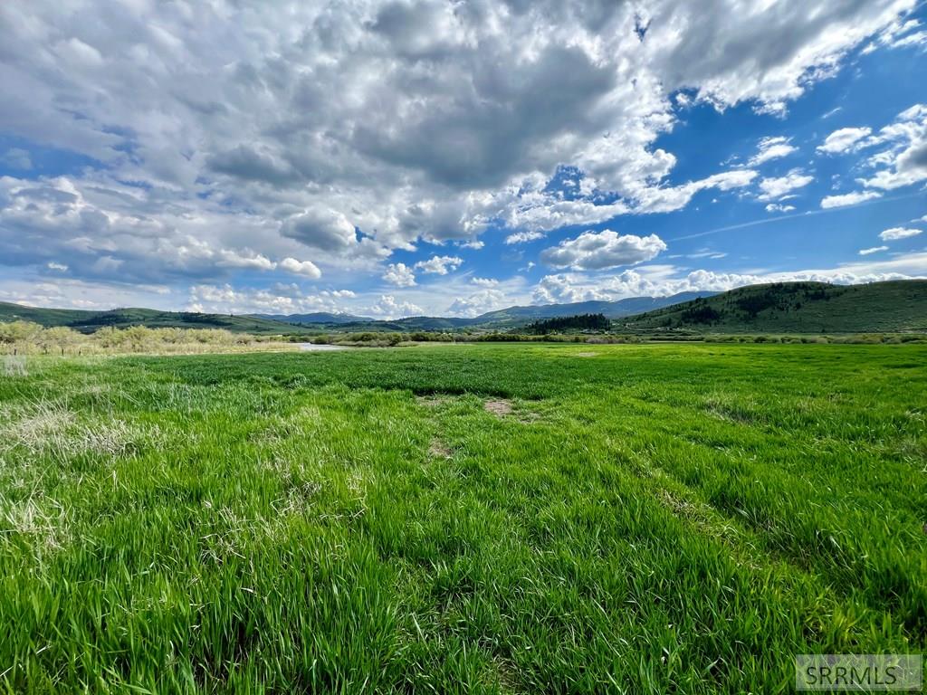 Tbd Bailey Creek Road Property Photo 48