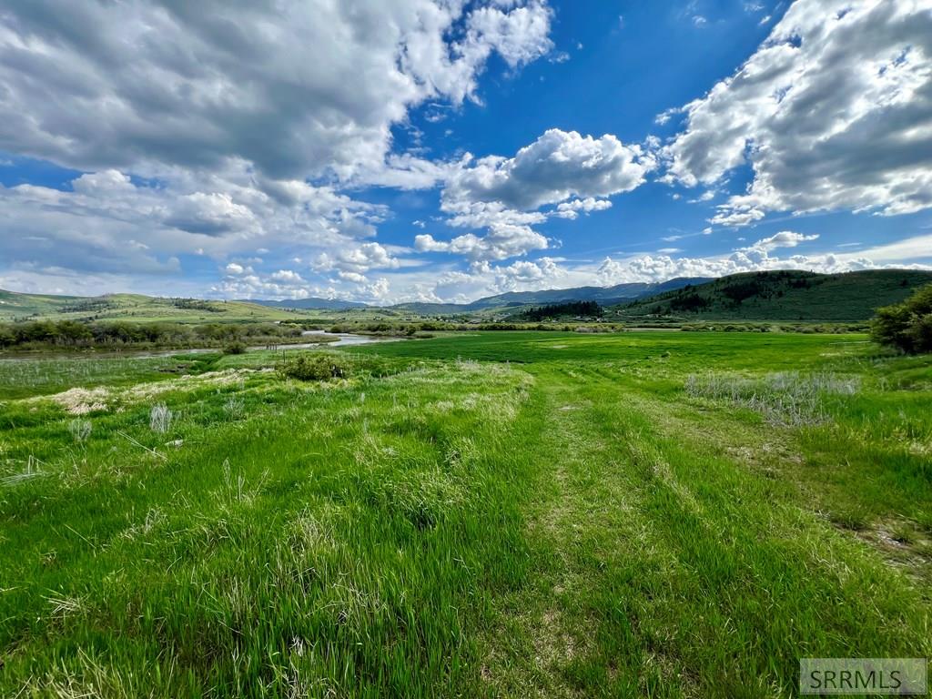 Tbd Bailey Creek Road Property Photo 49