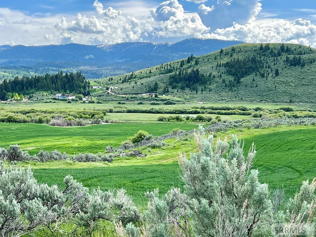 Tbd Bailey Creek Road Property Photo 57