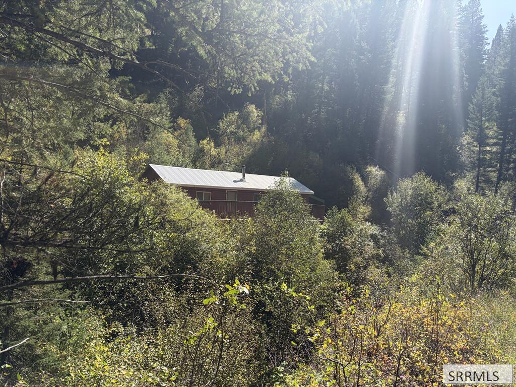 401 Dahlonega Creek Road Property Photo 28