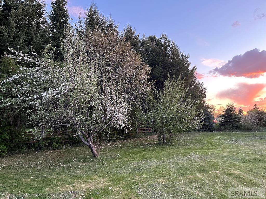 1331 N 3687 E Property Photo 33