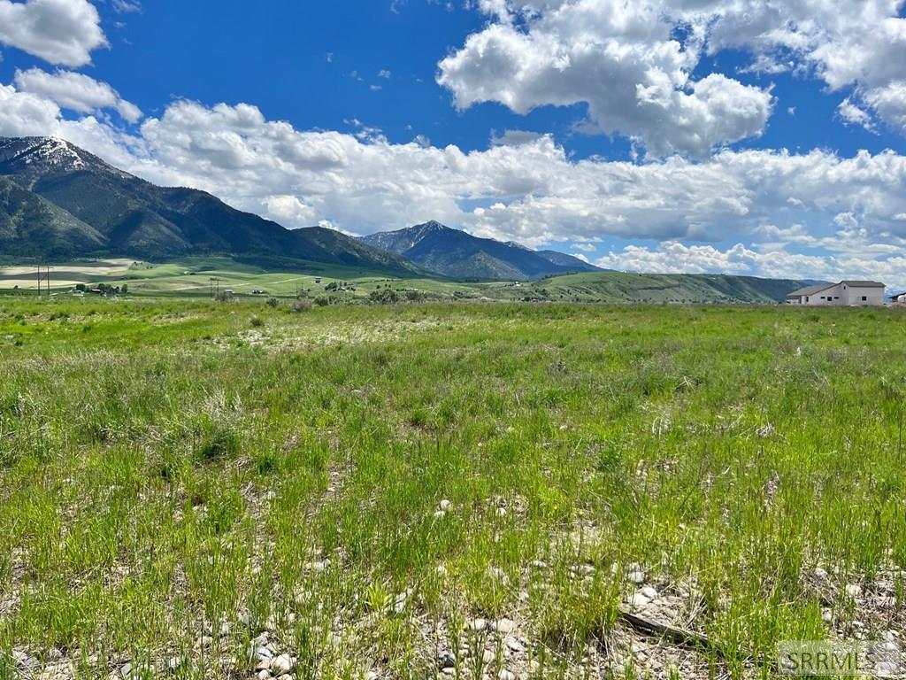 Tba Tbd Property Photo 5