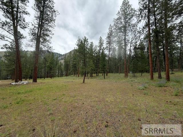 2811 N Hwy 93 Property Photo 1