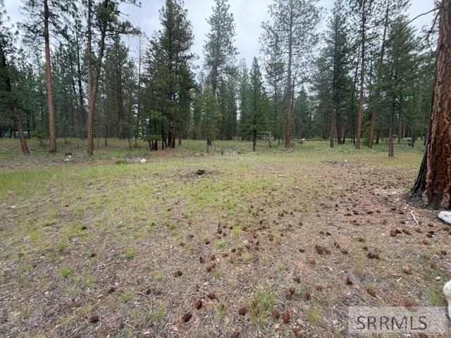 2811 N Hwy 93 Property Photo 2
