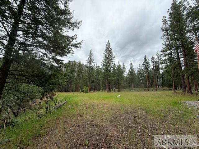 2811 N Hwy 93 Property Photo 3