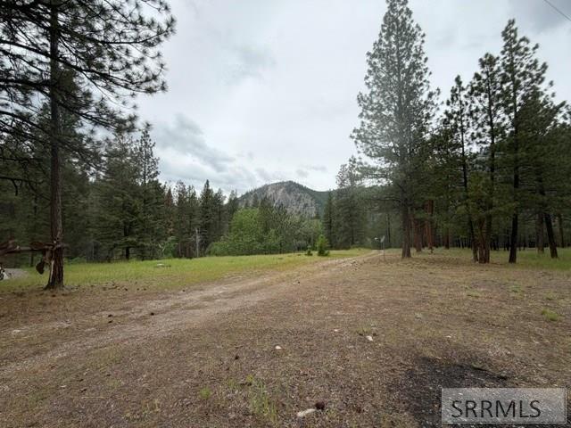 2811 N Hwy 93 Property Photo 4