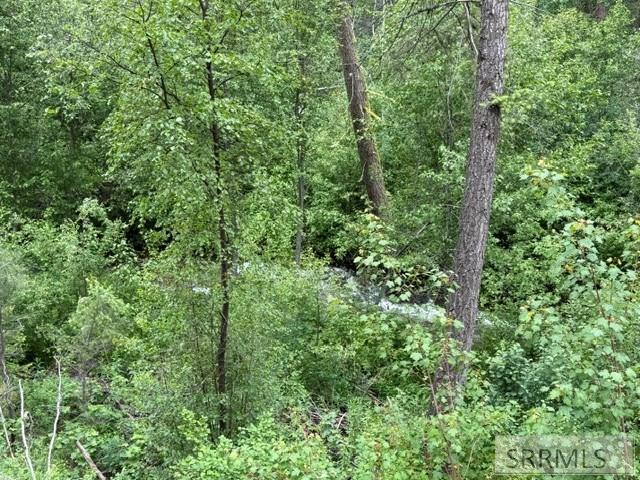 2811 N Hwy 93 Property Photo 8
