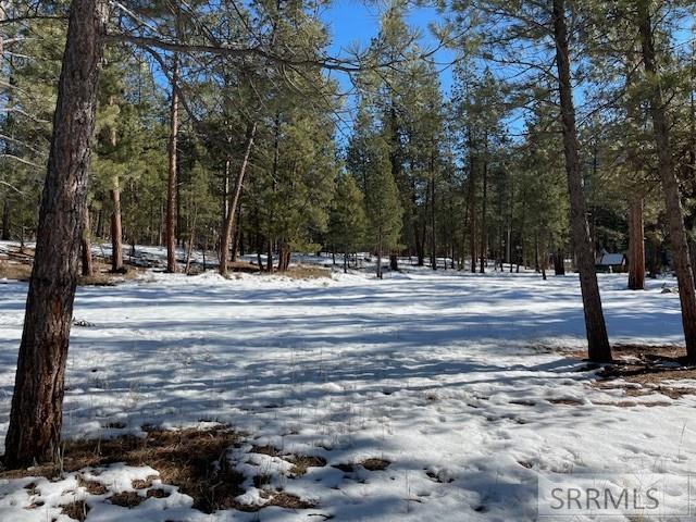 2811 N Hwy 93 Property Photo 10