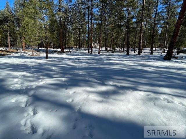 2811 N Hwy 93 Property Photo 29