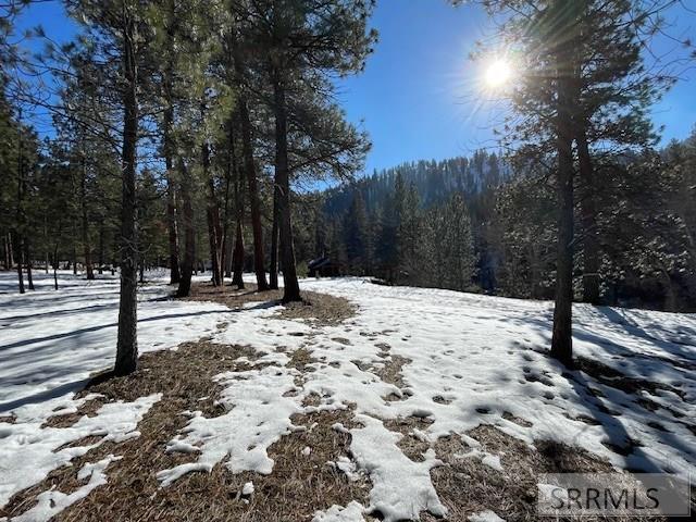 2811 N Hwy 93 Property Photo 31