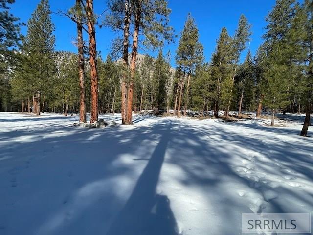 2811 N Hwy 93 Property Photo 32