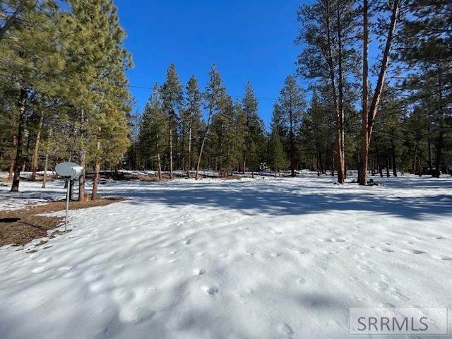 2811 N Hwy 93 Property Photo 33