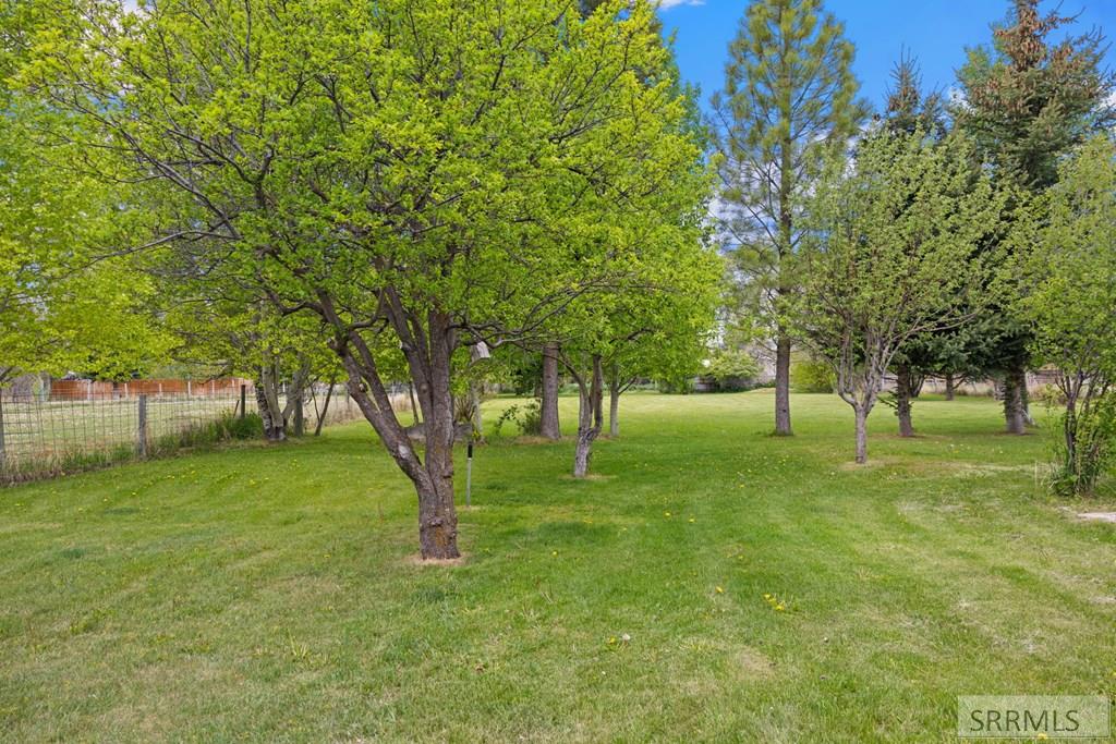 151 N 3rd Street Property Photo 48