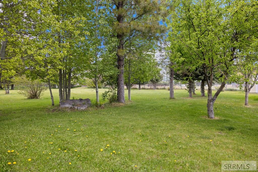 151 N 3rd Street Property Photo 49