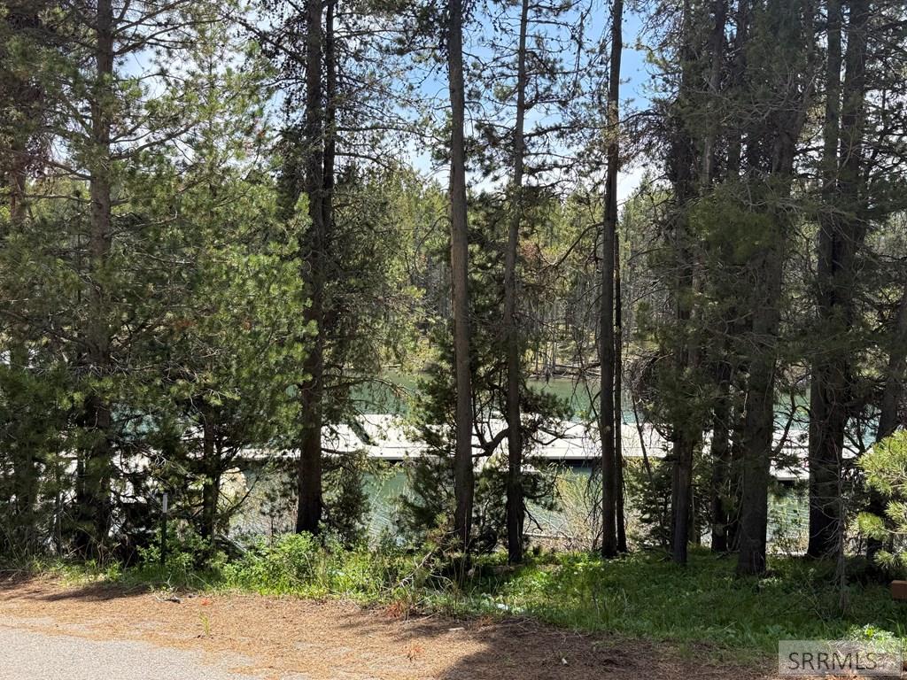 3650 Redtail Street Property Photo 84