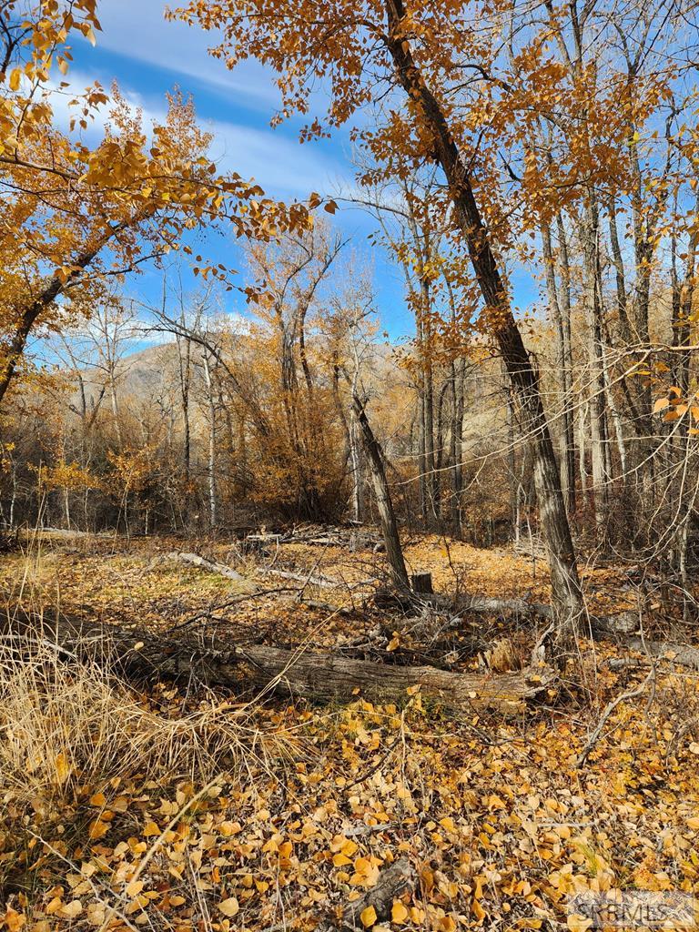 Tbd Burden Road Property Photo 1