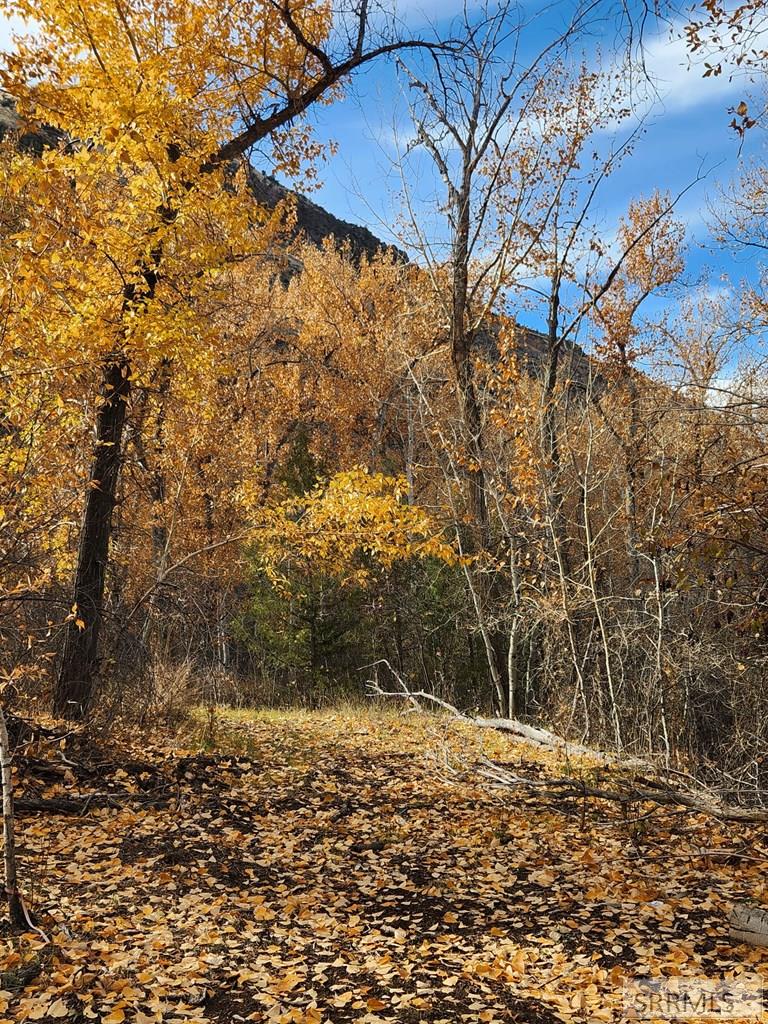 Tbd Burden Road Property Photo 3