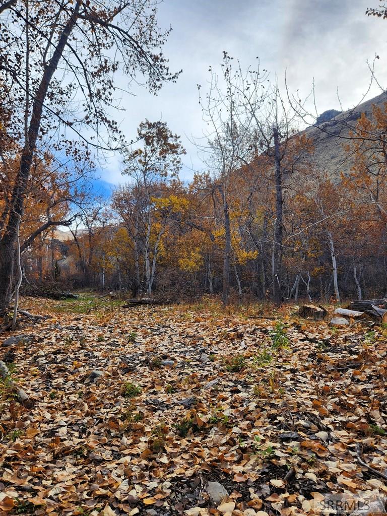 Tbd Burden Road Property Photo 4