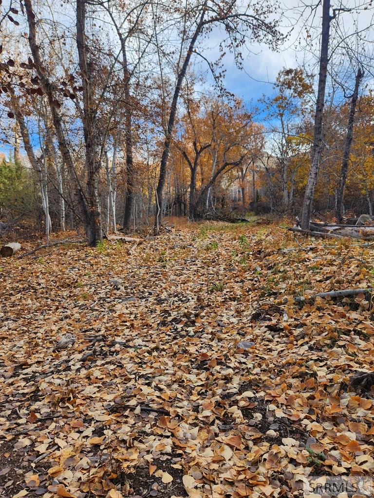 Tbd Burden Road Property Photo 5