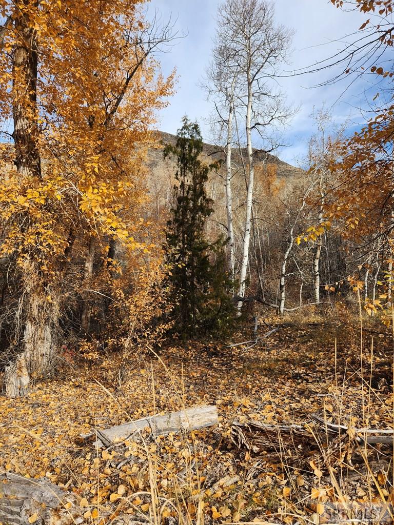 Tbd Burden Road Property Photo 8