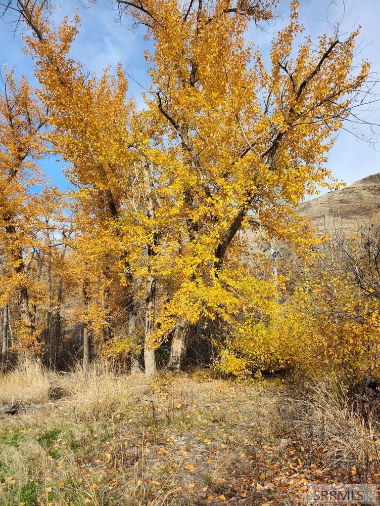 Tbd Burden Road Property Photo 12