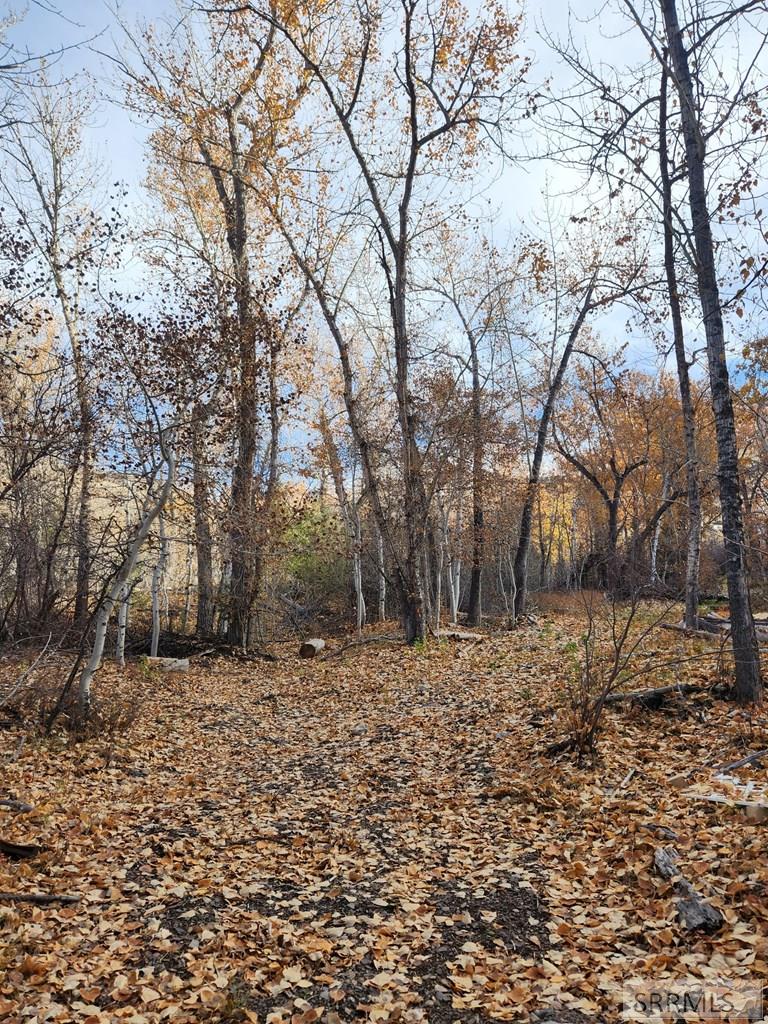 Tbd Burden Road Property Photo 14