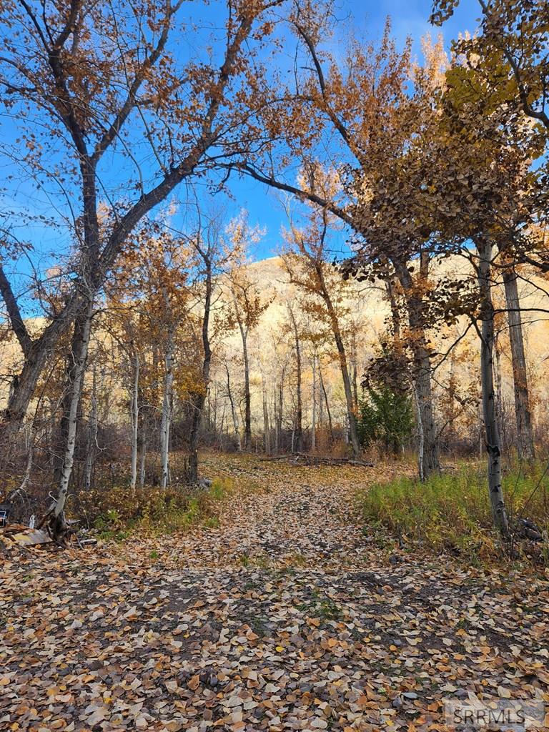 Tbd Burden Road Property Photo 15