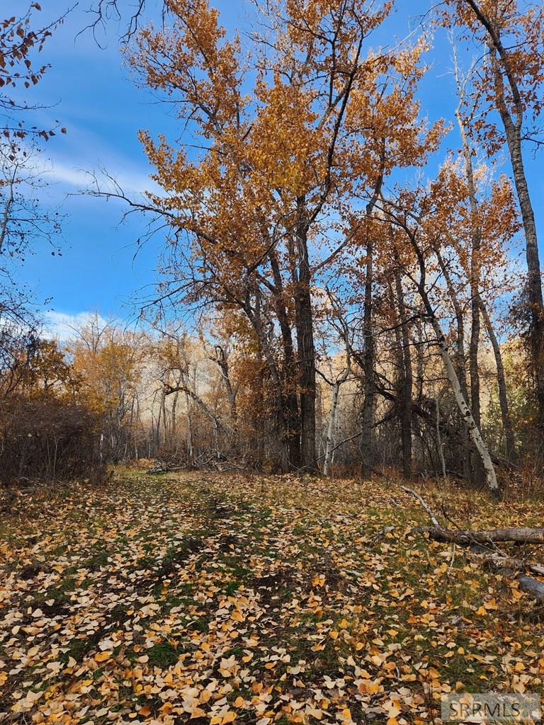 Tbd Burden Road Property Photo 16
