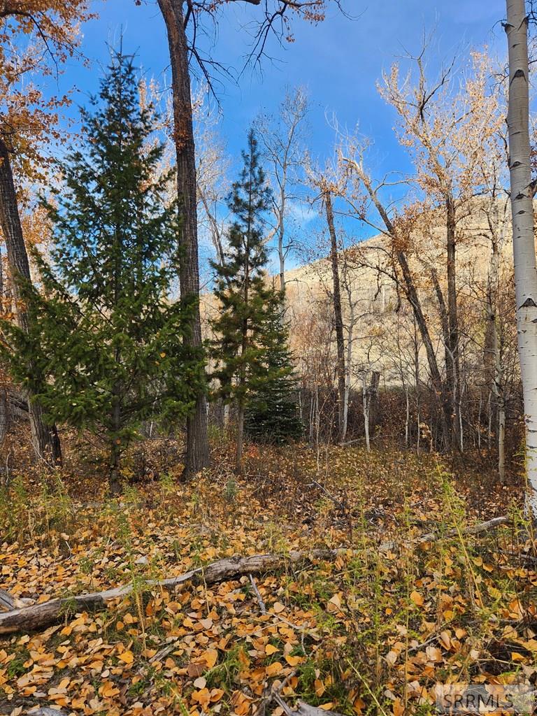 Tbd Burden Road Property Photo 18
