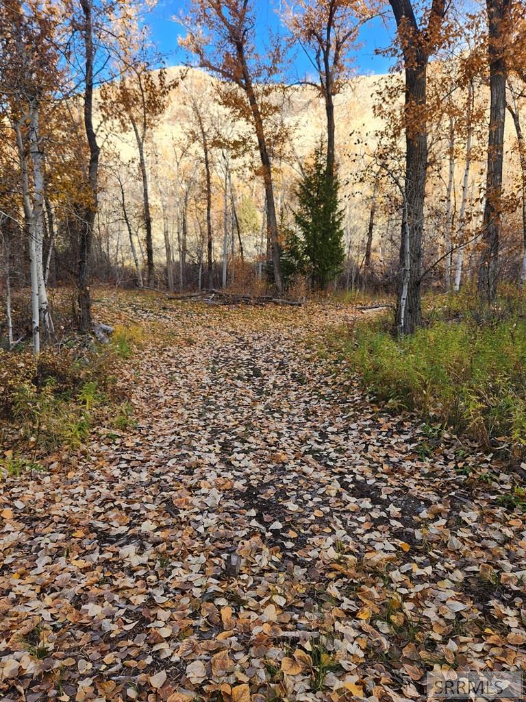 Tbd Burden Road Property Photo 19