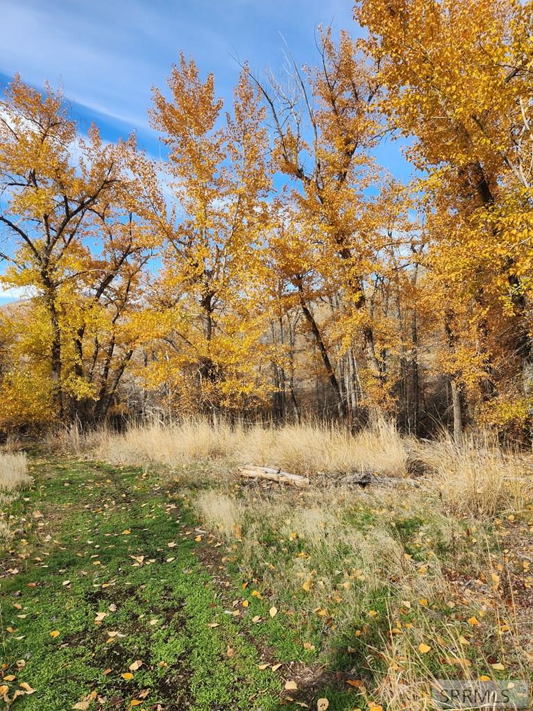 Tbd Burden Road Property Photo 20
