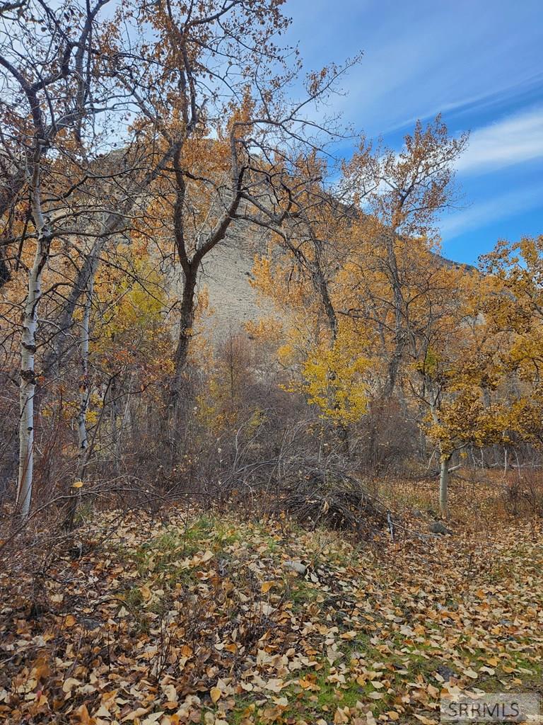 Tbd Burden Road Property Photo 21