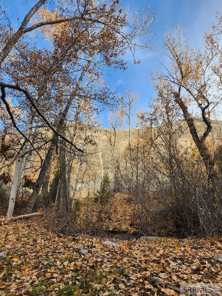 Tbd Burden Road Property Photo 22