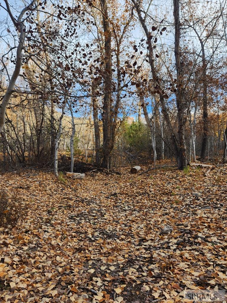 Tbd Burden Road Property Photo 25