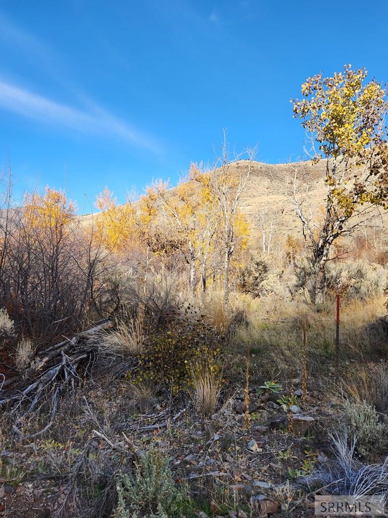 Tbd Burden Road Property Photo 27