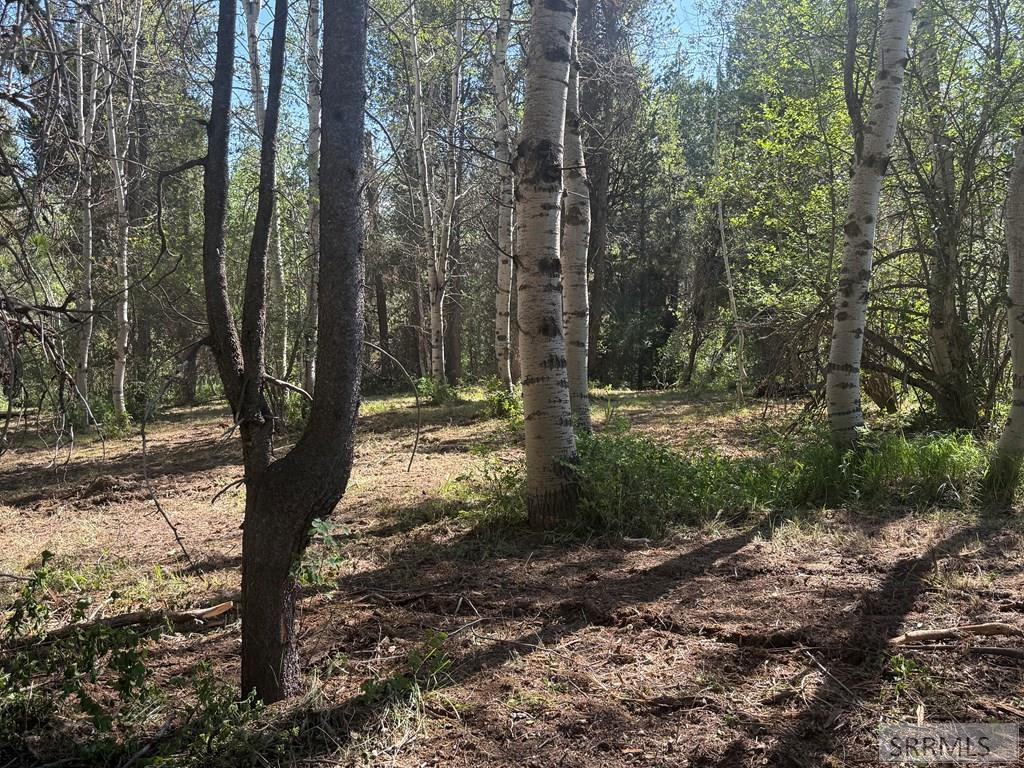 4376 Granite Ridge Property Photo 2