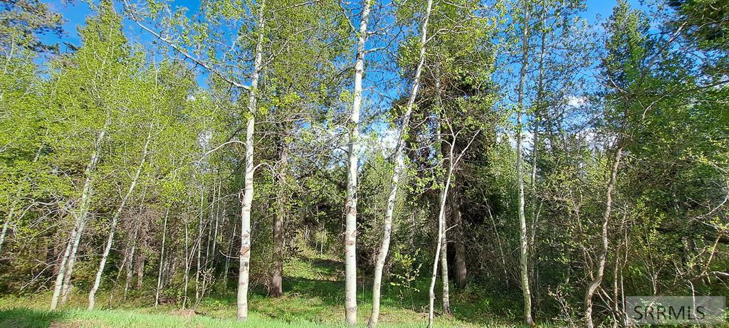 4376 Granite Ridge Property Photo 3