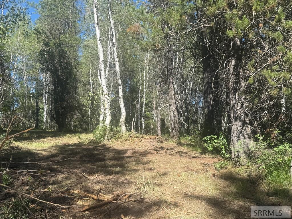 4376 Granite Ridge Property Photo 5