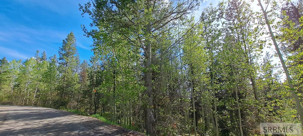 4376 Granite Ridge Property Photo 9