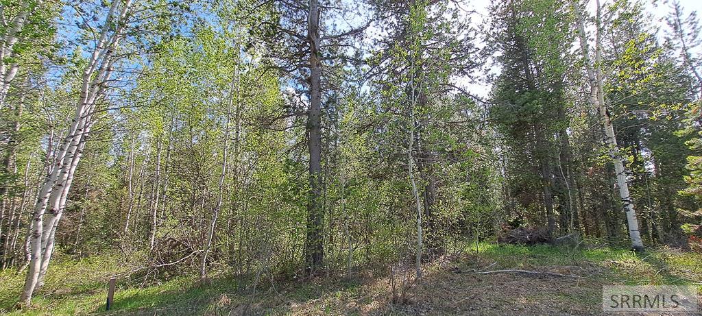 4376 Granite Ridge Property Photo 11