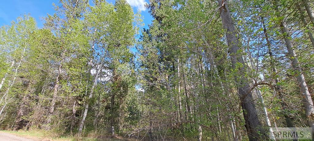 4376 Granite Ridge Property Photo 59