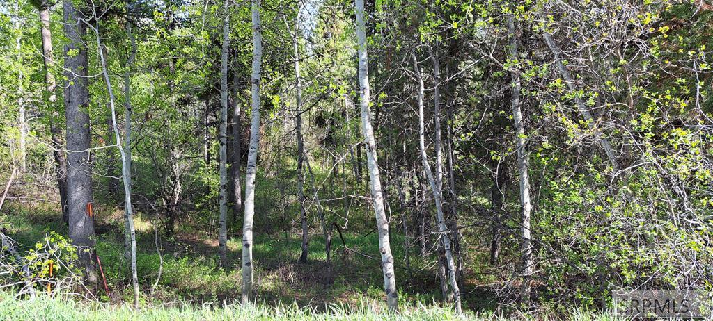 4376 Granite Ridge Property Photo 61