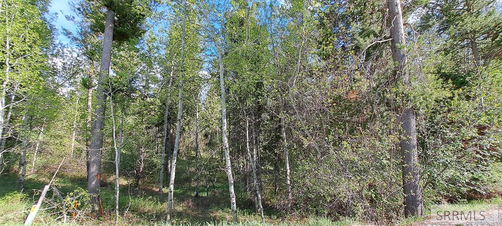 4376 Granite Ridge Property Photo 62