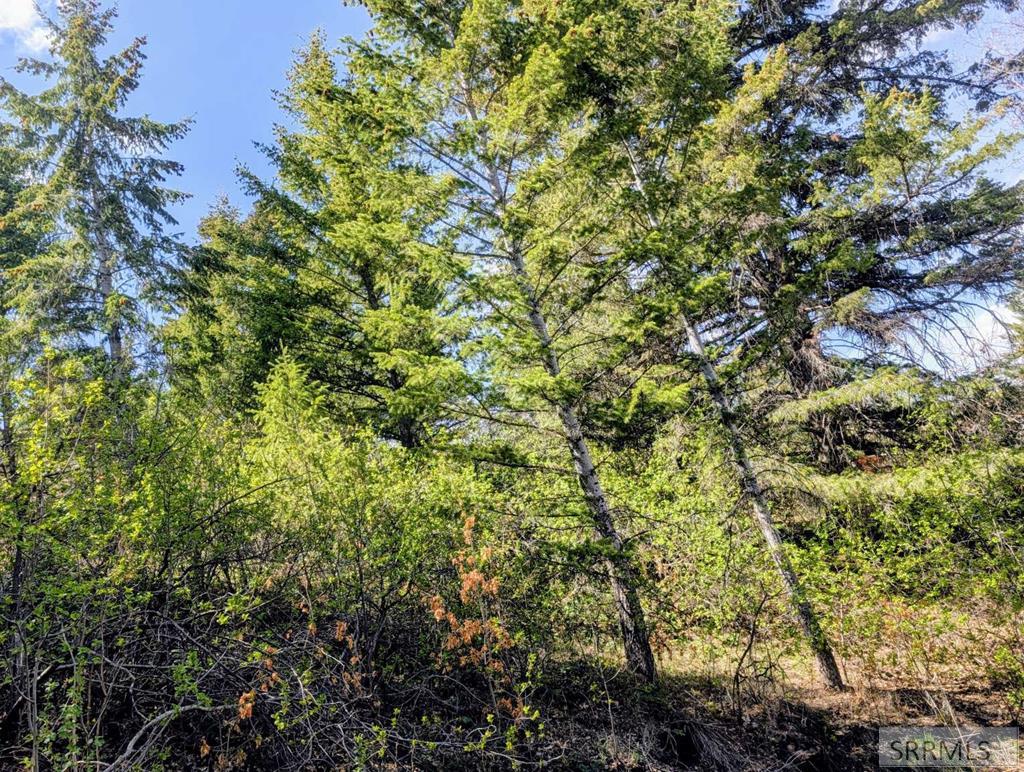 12085 S Dempsey Creek Road Property Photo 33