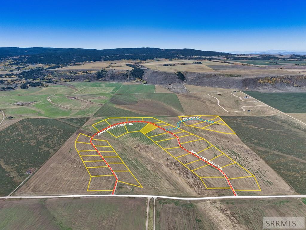 8640 Appaloosa Ridge Property Photo 22