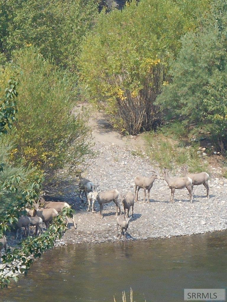 1874 S Hwy 93 Property Photo 40
