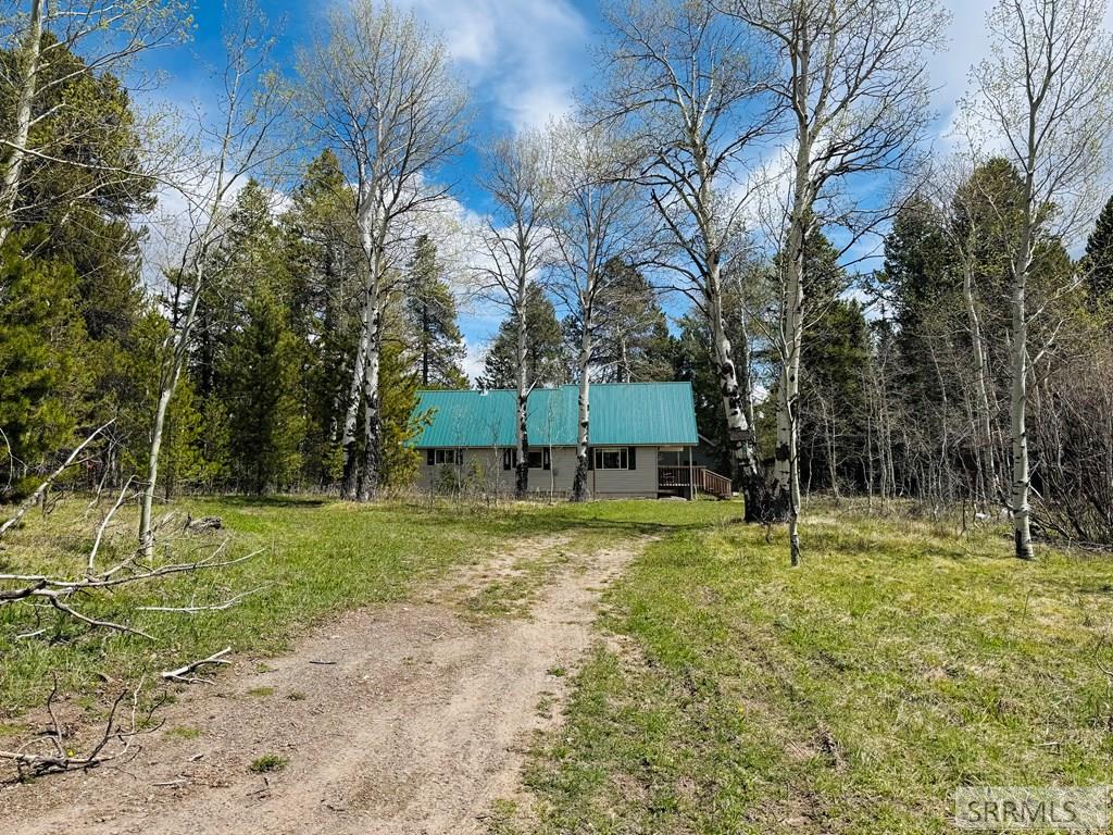 4780 Fir Street Property Photo 6